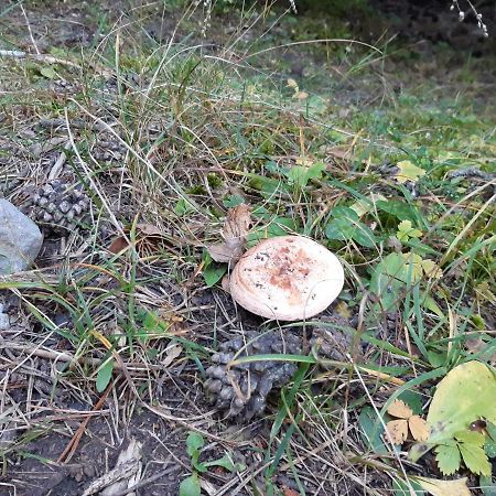 Apartamento Partara Ainsa Bagian luar foto